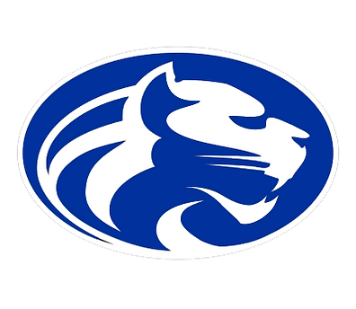 BrandBook-C53406D17-NorcoHighSchool (1)-9.png